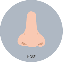 Nose