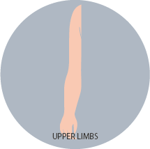 Upper Limbs